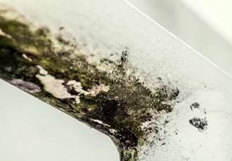 Vlhkost a plísně v domě
